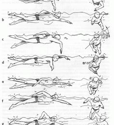 the diagram shows how to swim in different directions, from top to bottom and below