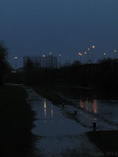 the street lights shine brightly in the dark night sky over water and grass, with puddles on the ground