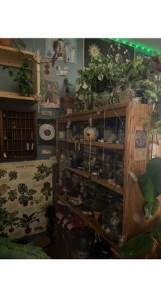 a room filled with lots of potted plants