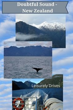 there are many pictures of the ocean and mountains in new zealand, including a whale