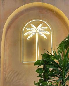 Palm Tree Neon Sign Palm Trees With Lights, Neon Signs Outdoor, Palm Tree Neon Sign, Unique Neon Signs, Neon Sign On Wood, Diy Business Sign, Palm Tree Bedroom, Neon Signs Aesthetic, Neon Wall Lights