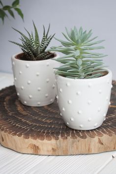 two potted plants sitting on top of a wooden tray next to eachother