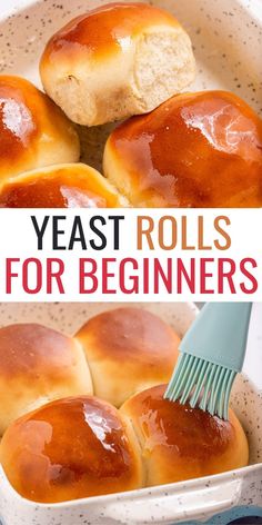 yeast rolls in a baking dish with a spatula and title overlay reading yeast rolls for beginners