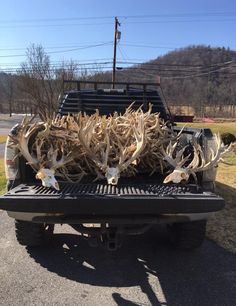 a truck filled with deer heads and antlers sitting in the back of it's bed