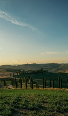 the rolling hills are dotted with trees and grass