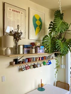 there is a potted plant on the shelf above the coffee mugs and cups