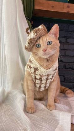 a cat wearing a knitted hat and scarf sitting on top of a table next to a brick wall