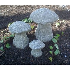 three stone mushrooms sitting in the dirt