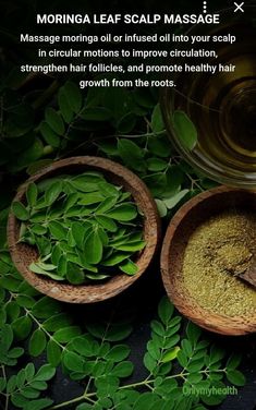 Moringa Leaves, Strengthen Hair Follicles, Moringa Oil, Promote Healthy Hair Growth, Improve Circulation, Scalp Massage, Hair Oil, Hair Growth, Healthy Hair