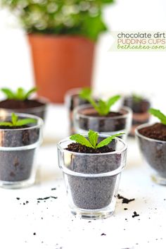 small pots with plants growing out of them