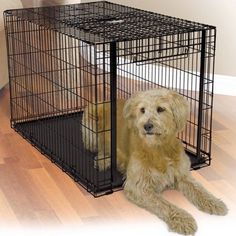 a dog is sitting in a cage on the floor