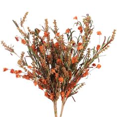 an arrangement of orange flowers in a vase on a white background with clippings