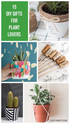 the top ten diy gifts for plant lovers