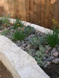 a garden with rocks and succulents in the ground next to a fence