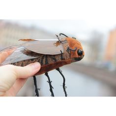 a person holding a toy insect with long legs and brown body, in front of a cityscape