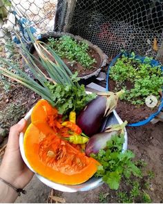 a person holding a bowl full of vegetables