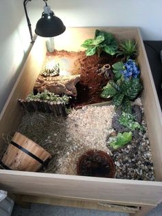 a wooden box filled with plants and rocks under a desk lamp on top of a table