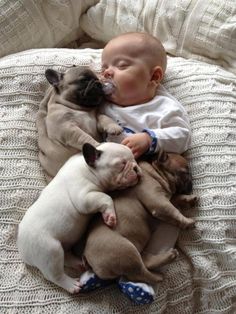 a baby laying on top of two puppies