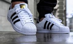 Adidas Super, Man Model, Adidas Originals Superstar, Adidas Fashion, Shoes Outlet, Sneaker Collection, Skateboarding