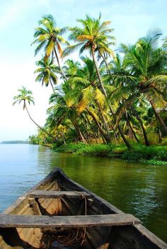 there is a boat that is sitting in the water next to palm trees and rocks