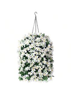 a bunch of white flowers hanging from a chain