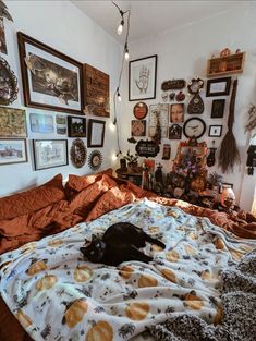 a black cat laying on top of a bed in a room filled with framed pictures