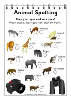 an animal spotting poster with animals and other things to see in the picture below