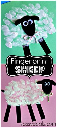 paper plate sheep craft with the words fingerprint sheep in black, white and pink