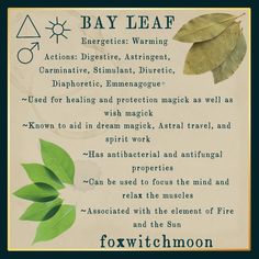 herbalism, spiritual herbs, witch, magick, herbal, herbs, bay leaf, bay laurel, foxwitchmoon Bay Leaf Spiritual Uses, Bay Leaf Affirmations, Bay Leaf Spiritual Meaning, Bay Leaf Banishing Spell, Bay Leaf Magical Properties, Dream Pillow Wiccan, Bay Leaves Magical Properties, Burning Bay Leaves Benefits, Bay Leaf Witchcraft