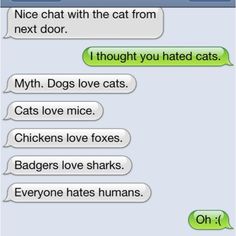 two cats and one dog texting each other