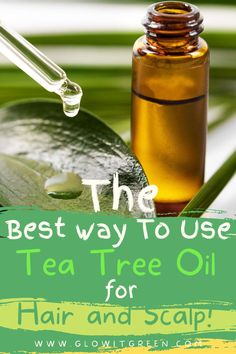 Find out how to get hair and scalp benefits of Tea Tree oil with Glowitgreen.com! This potent oil is fantastic for scalp issues and promoting hair growth! Tee Tree Oil For Hair, Tea Tree Hair Oil, Tea Tree Oil For Hair Dandruff, Essential Oils For Scalp And Hair, Tea Tree For Hair, Tea Tree Oil For Scalp, Tea Tree Oil For Hair Growth, Tea Tree Oil Uses For Hair, How To Use Tea Tree Oil For Hair