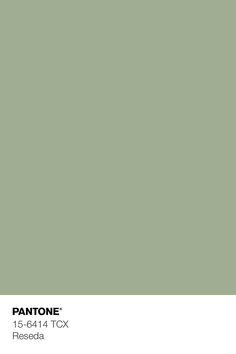 pantone's green - toned paint is shown in the color seafoam