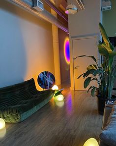 a living room filled with lots of furniture next to a tall green plant on the floor