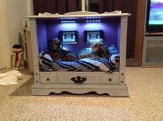 two dogs laying on top of a bed in front of a flat screen tv with blue lights