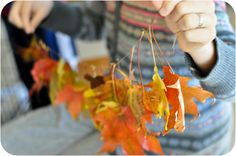 a woman is holding up some autumn leaves