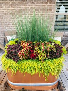 a planter filled with lots of plants on top of a wooden table