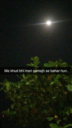 the full moon shines brightly in the night sky above some green leaves and trees