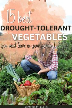 Picture of woman kneeling in garden with basket of fresh vegetables with text overlay 15 Best Drought-Tolerant Vegetables You Must Have in Your Garden Low Water Vegetable Garden, Drought Tolerant Vegetable Garden, Mexico Garden, Colorado Garden, Starter Garden, Mexican Garden, Deer Proof, Productive Garden, Vegetables Garden