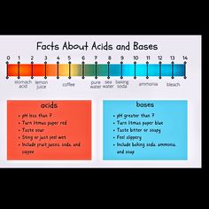 Ph Scale, Bond Paper Design, Acid Base, Bond Paper, Ph Levels, Paper Design, Steam, Entrance, Science