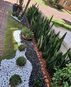 a garden with plants and rocks in the center, along side a brick walkway that leads to a house