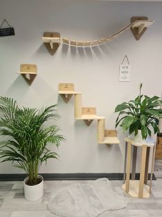 a cat tree and some plants in a room