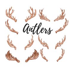 antlers with the word antlers written in it