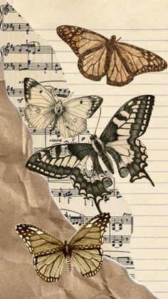 three butterflies are sitting on top of sheet music paper with notes in the back ground