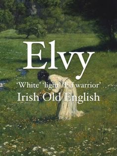 the cover of elvy's book, white high elf warrior irish old english