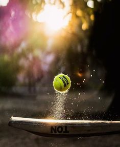 a tennis ball is thrown into the air by a racquet in front of trees