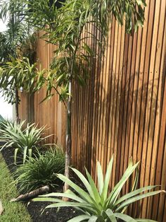 some very pretty plants by the side of a wooden fence with grass and trees in it