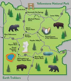 a map of yellowstone national park with bears and other things to see in the area