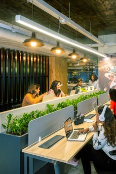 people are sitting at tables with laptops in an open office space, while one person is on the phone