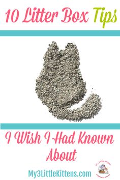 a pile of dirt with the words, 10 litter box tips i wish i had known about