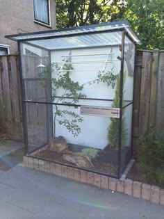 an outdoor enclosure with plants growing in it